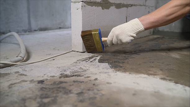 Top rated local Basement Waterproofing specialists in Richardsville, VA